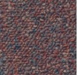 457 8259